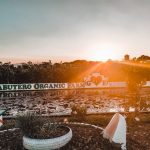 Nature’s Finest: Silonay Mangrove Conservation Ecopark